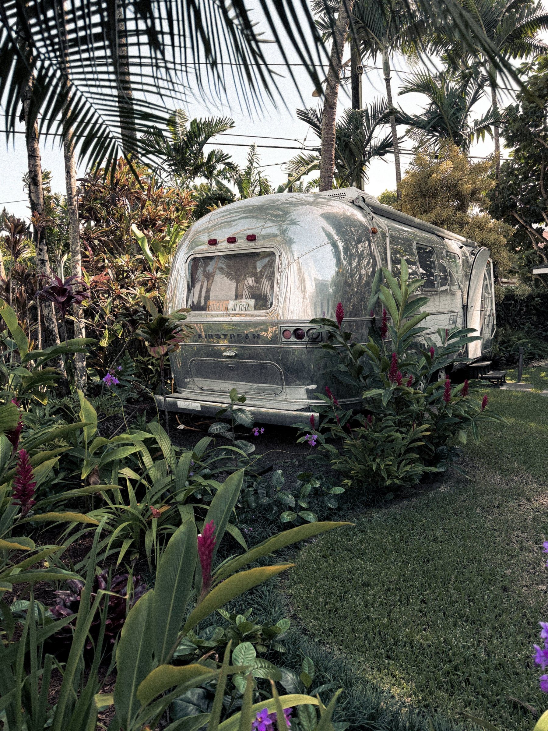 Halcyon — Hanalei, Kauai, frame 2